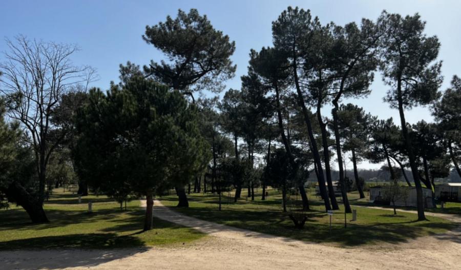 Camping La Maltournee Sigloy Zewnętrze zdjęcie